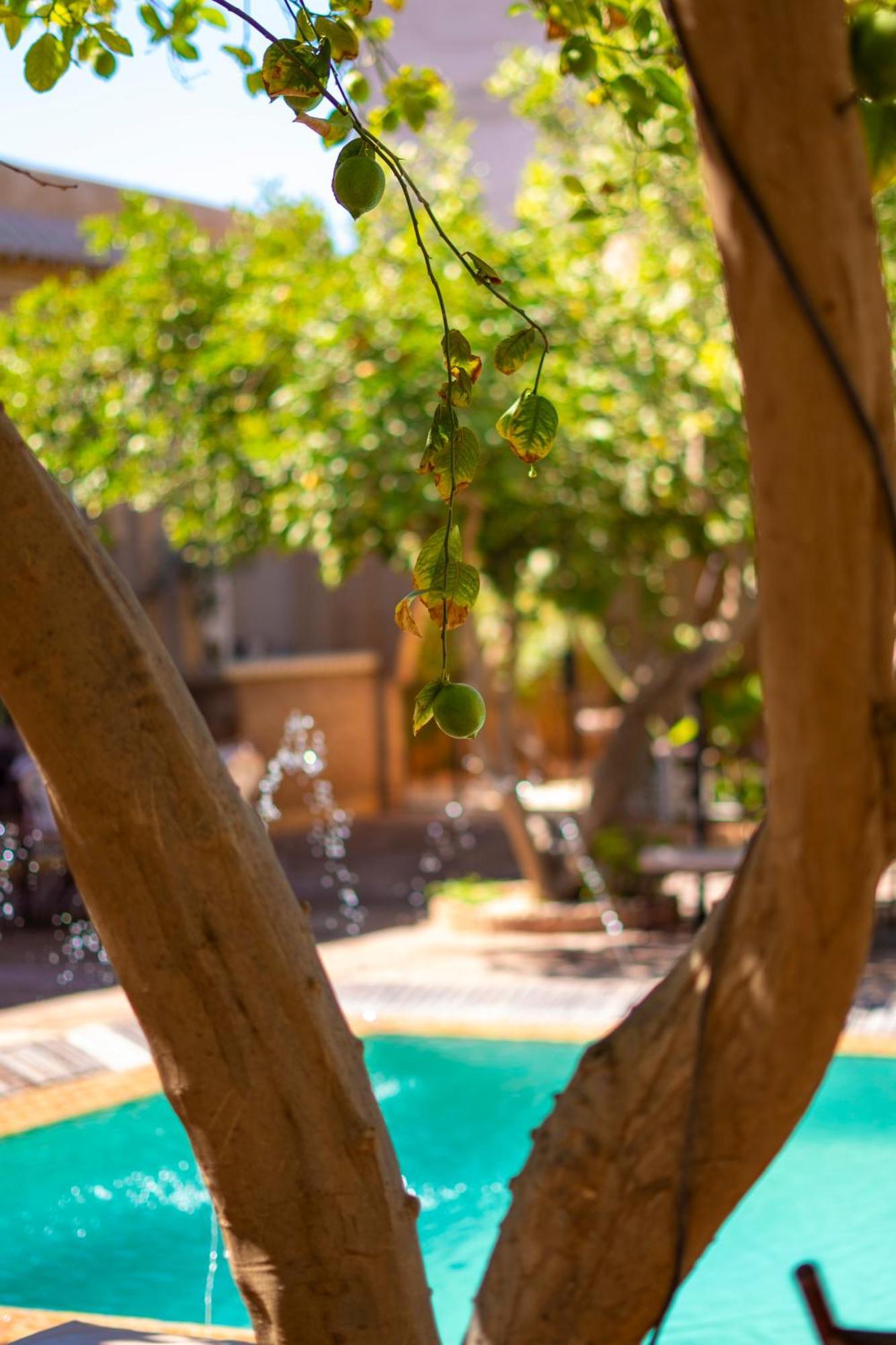 Riad Jnane Ines Hotel Taroudant Exterior photo